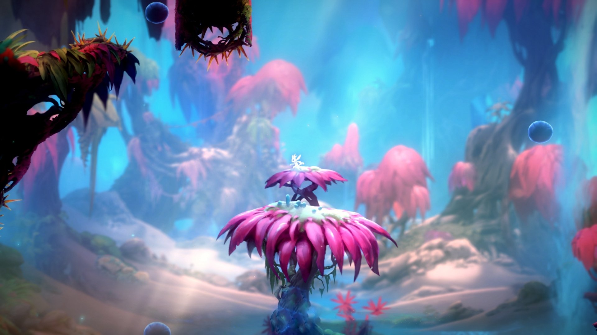 体育明星表现惊艳赛场,体育明星榜